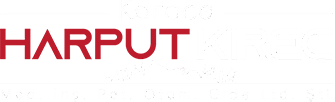 dark logo